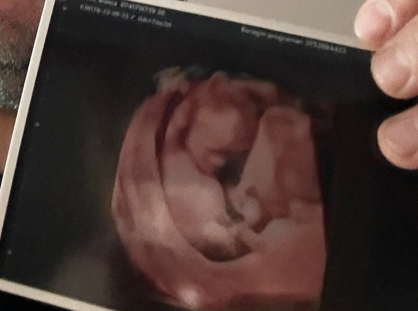 376452862_1757430188018834_9131079502564139334_n