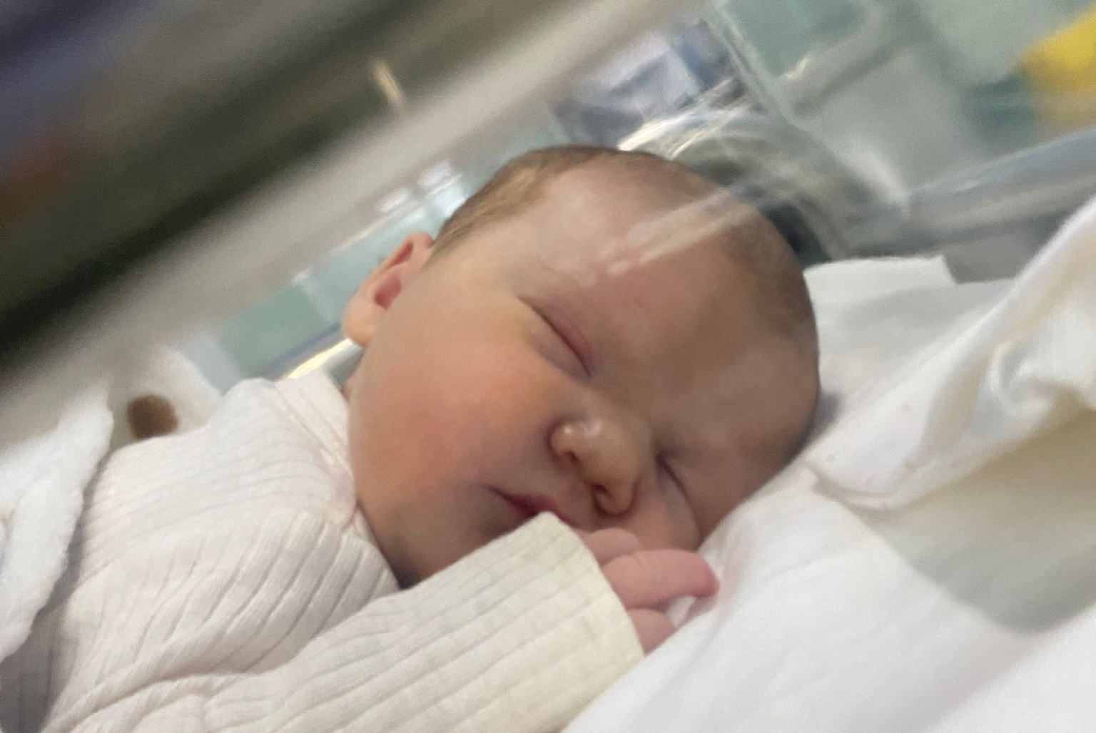 WhatsApp Image 2024-03-25 at 06.48.30